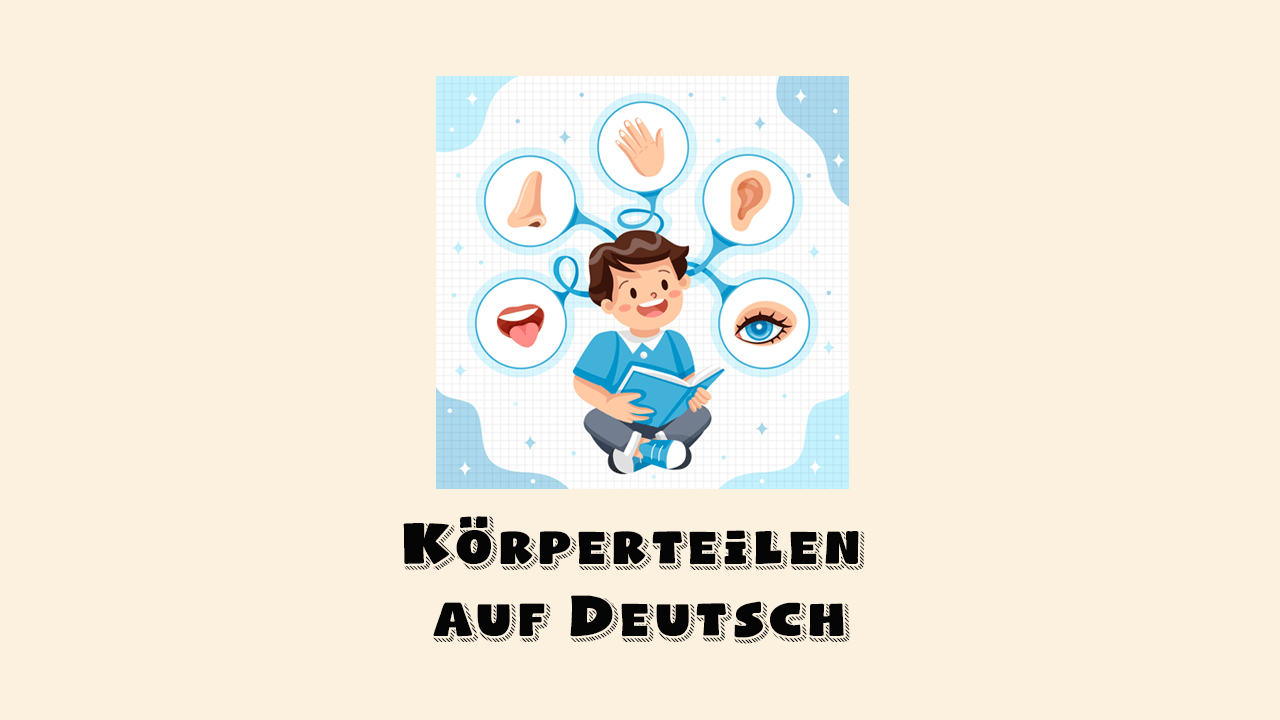 Bezeichnungen von Körperteilen auf Deutsch